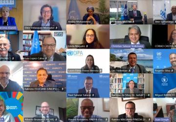 Capture d'écran montrant des hommes et des femmes participant à la réunion en ligne de la plateforme de collaboration régionale pour l'Amérique latine et les Caraïbes.