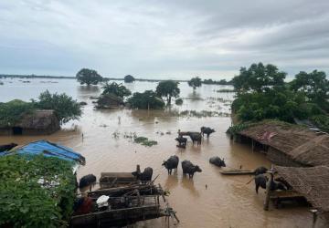 An aerial view of a submerged community in Bhajani, Kailali 