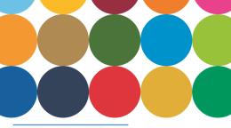 Cover photo of the publication titled Business Operations Strategy (BOS) 2.0 – Fact Sheet