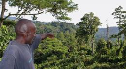 يقف رجل في وادٍ أخضر مليء بالأشجار والتلال.