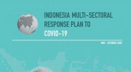 Cover of publication shows a woman showing a pamphlet to a girl with the publication tile: Cover of Indonesia Multi-Sectional Response Plan to COVID-19