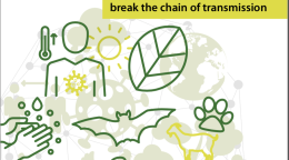 The cover shows the title "Preventing the Next Pandemci: Zoonotic diseases and how to break the chain of transmission" above various illustrations of animals, outline of a person, hands and virus.