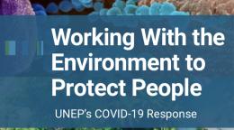 Cover shows the title "Working with the Environment to Protect People: UNEP's COVID-19 Response" in front of a collage of environmental elements. 