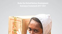 Cover shows the title "Immediate Socioeconomic Response to COVID-19 over a image of a woman with a blue mask carrying a box.