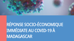 Cover shows the title "United Nations Framework for an Immediate Socio-Economic Response to COVID-19 in Madagascar" over blue background and virus image.