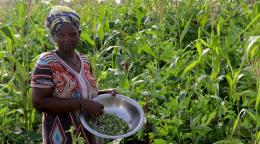 Una mujer se encuentra en medio de un campo de cultivo verde. Ella sostiene un cuenco de frijoles en sus manos, mirando a la cámara.
