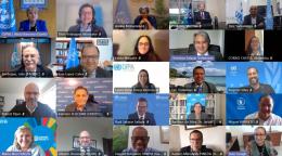 A screenshot of participants to the Latin America and Caribbean Regional Coordination Platform meeting