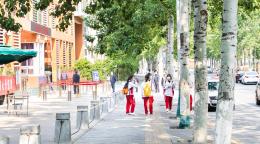 孩子们一起站在学校外面的绿树下。