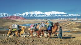 A person walks with several animals carrying supplies near a mountainous area.