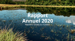 Photo du Parc national des Plateaux Batékés, au Gabon, montrant une grande étendue d’eau bordée de plantes sauvages et d’arbres.