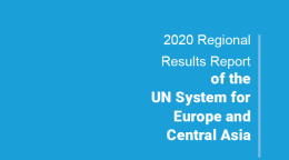 Blue cover shows the title of the report in white with UN emblem on the bottom left.