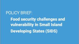 El título aparece en blanco sobre un fondo azul sólido con el emblema de la ONU y el registro de coautores en la parte superior sobre una gruesa barra horizontal blanca.