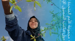 غلاف تقرير رئيسة مجموعة الأمم المتحدة للتنمية المستدامة حول مكتب التنسيق الإنمائي