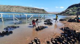 في يوم مشمس، يضع الناس الرمال في الأكياس لإنشاء جدار لمنع حدوث الفيضانات بالقرب من الجسر.