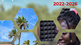 This is a document with a blue background with photos on the front page and the red text.  The UNCT and goverment logos appear to the left of the page.