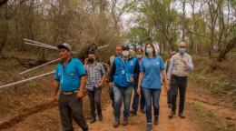 一群戴着面罩的人一起走过森林。