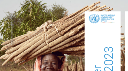 A woman is sitting in a filed and smiling at the camera. 