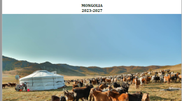 This is a white document with blue and black text.  The UNCT logo appears to the middle of the page.