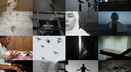 参加联合国难民署印度代表处辅导计划的8名年轻难民的摄影作品集。