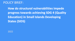 A publication cover in UN blue color with the title written in white and the UN logo in the top left corner.