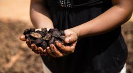 Una agricultora con castañas en sus manos.