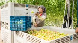 Woman worker in Mexico
