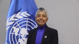 Woman in a suit in front of a UN flag