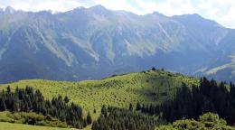 ©FAO Au Kirghizistan, la FAO et ses organisations partenaires s'efforcent de restaurer les écosystèmes essentiels à la lutte contre le changement climatique.