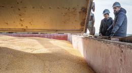 Мужчина и женщина в касках смотрят на контейнер с зерном