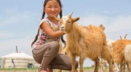 A young Mongolian girl in braids and rosy cheeks kneels and pets a furry brown goat in front of a yurt