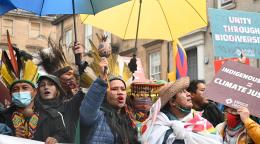 A group of activists with umbrellas, signs, posters
