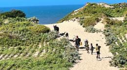 UN News/Daniel Dickinson Les communautés du sud de Madagascar plantent du sisal pour protéger les terres de l'érosion et de la dégradation.