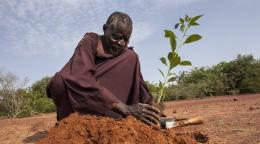 :Burkina Faso, North. Yacouba Sawadogo, a 60 year-old Burkinabe farmer who has led an economic and environmental transformation in his community’s corner of the Sahel by replanting his own forest and further innovating pits called the zai. He is known as “The Man Who Stopped the Desert”, as in the title of a 2011 documentary on his 38 years of recreating the forest.