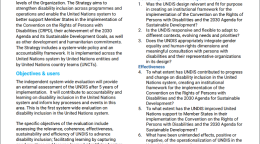 A cover page with text and the UN logo covering the terms of reference of the evaluation of the UN disability inclusion strategy
