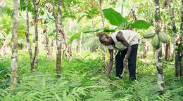 A man in a white shirt crouches in a green forest