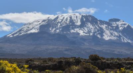 A mountain with a blue sky with a few white clouds, on the foot of the mountain there are trees.