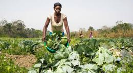 Mujer haciendo agricultura