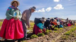 © PNUD/MINAM/PPD/Nuria Angeles Los habitantes de Thunco cosechan sus productos.