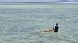 Молодой человек собирает водоросли в воде