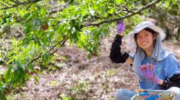 Young woman near the tree