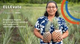 Mujer enseñando cosecha de piñas