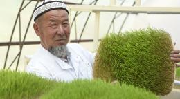 Фермер держит в руках выращенный им корм