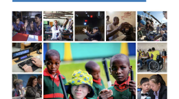 The cover of the Evaluation of the United Nations Disability Inclusion Strategy Annexes.