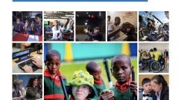 The cover of the Evaluation of the United Nations Disability Inclusion Strategy Summary.