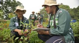 Four workers in Indonesia (two foreground, two background) analyse plants.