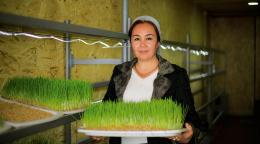 A woman in Kyrgyzstan holds a hydroponics tray.