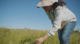 A woman in Uruguay in a field.
