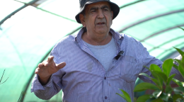 التسمية التوضيحية: التعليق: يصف عبد الله حداد، وهو مزارع لبناني من جنوب لبنان، كيف ساعده سجل المزارعين المدعوم من الأمم المتحدة والمساعدات النقدية في الحفاظ على سبل عيشه خلال حرب لبنان عام 2024