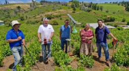 Instalación de sensores de humedad de suelo y trampas digitales para el monitoreo de plagas 