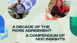 A cover photo of the final issue of the NDC Insights Series.